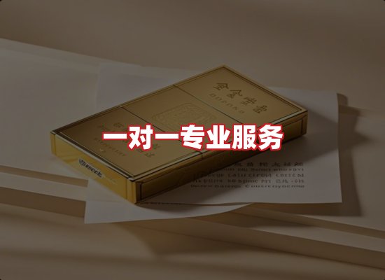 专业团队